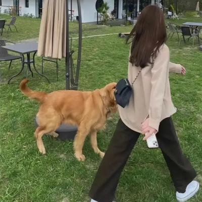 致亲爱的孤独者